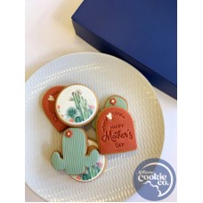 Happy Mothers Day Cactus gift box